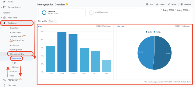 Google Analytics audience demographic overview chart. This screenshot shows a bar chart and a pie chart to understand what your audience demographic is.